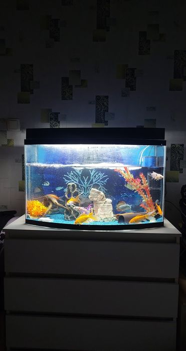 Аквариум 100 -120 литров рыбками