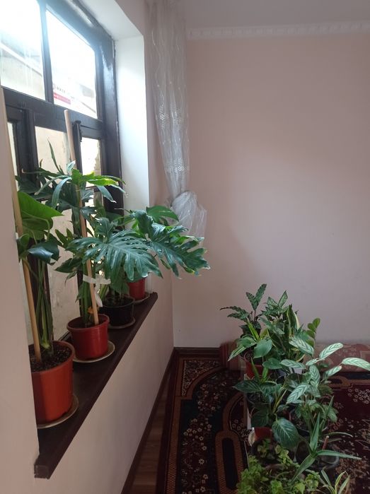 Продам дом 2 комнатный