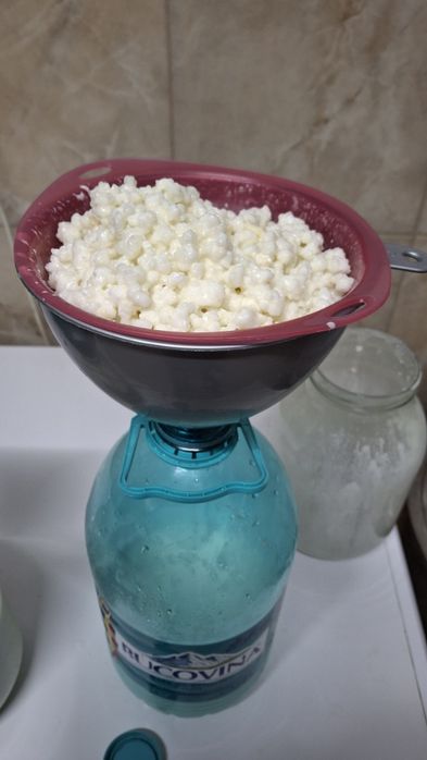 Vand ciuperca kefir