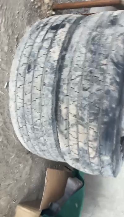 Шины с дисками 19,5