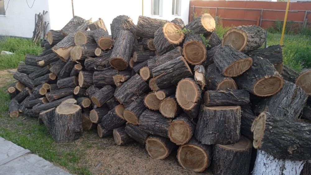 Дрова, карағаш, без сучков полный Газик