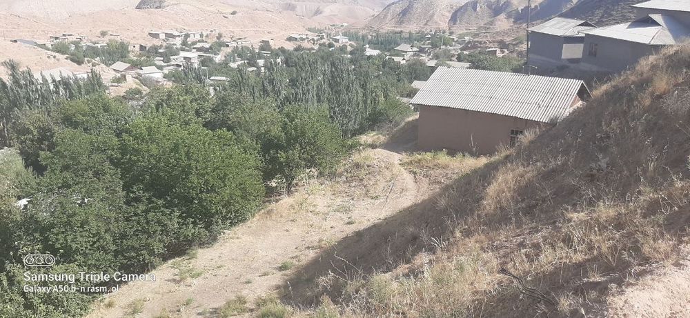 Oltinsoy tuman Sohibkor mahallasida 3 x dalahovli sotiladi kadastr bor