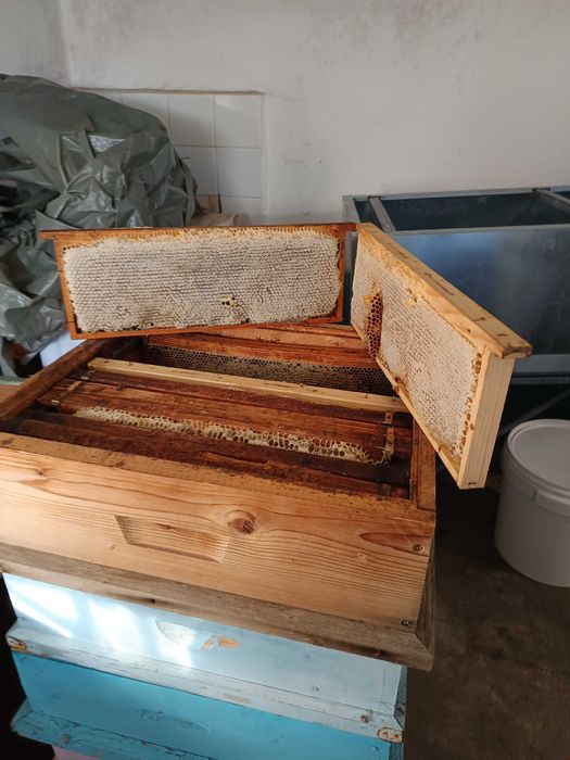 Натурален пчелен мед букет!