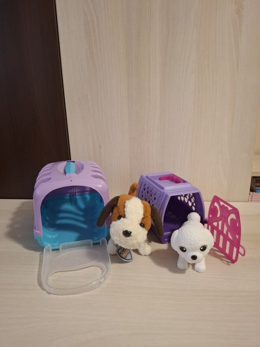 Pentru copii, transport 5 lei