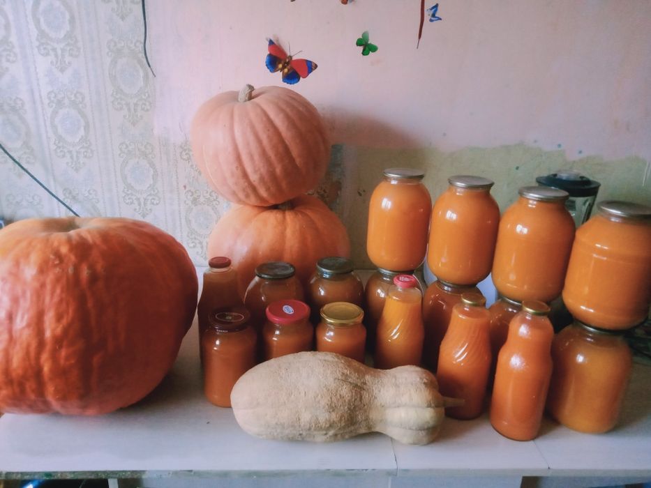 Сок из тыквы с апельсинами и лимонами.Тыквы со своего огорода.