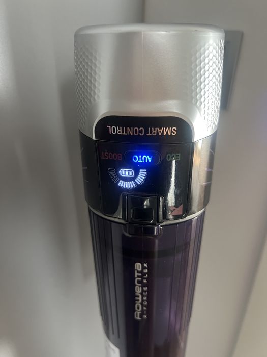 Rowenta X Force 9.6 Allergy