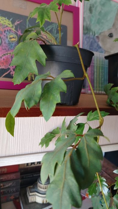 Расспродажа цена от 550тенге