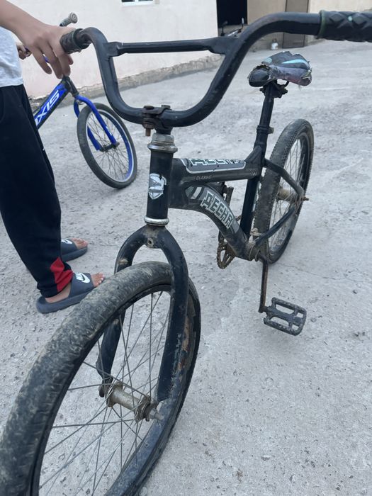 Велик бушный.