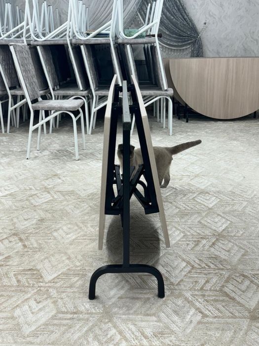 Продам новый стол и стулья