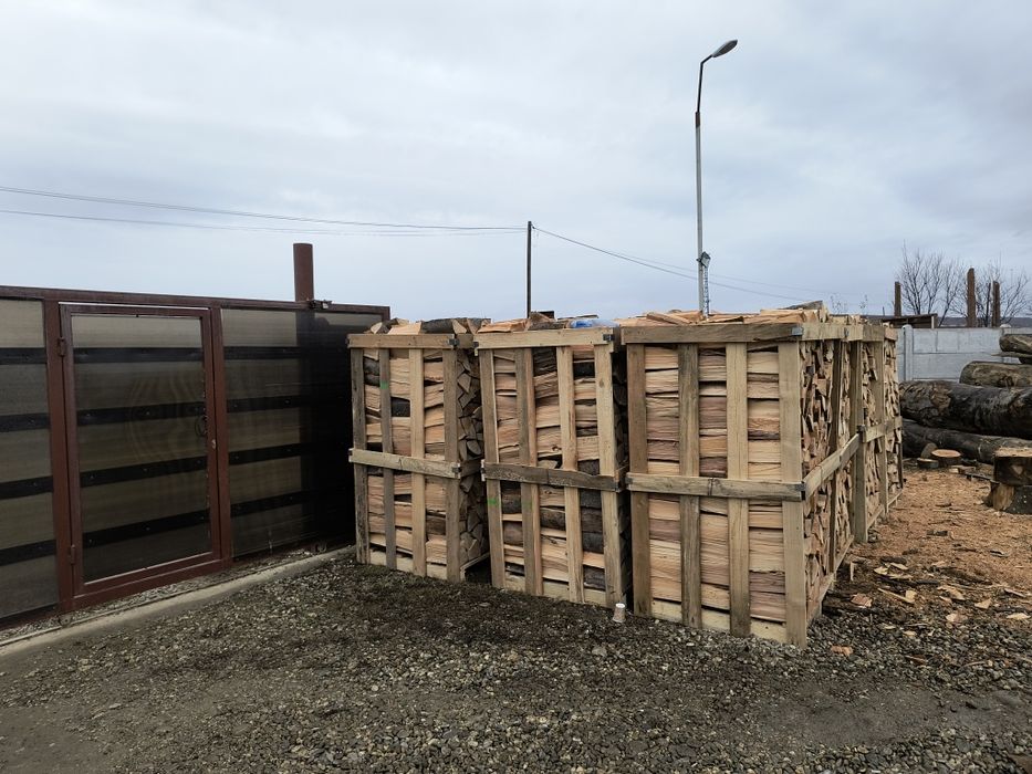 Lemn foc fag paletizat sau buștean