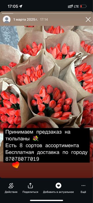 Продаю тюльпаны