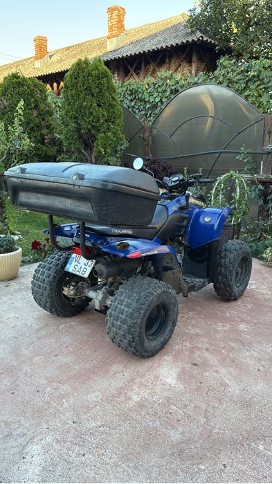 Polaris phoneix 200
