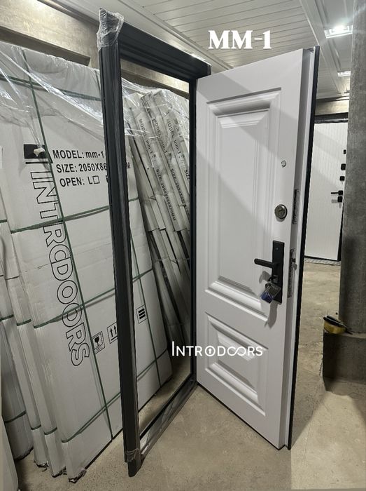 eshik ,двери ,входные двери, temir eshik