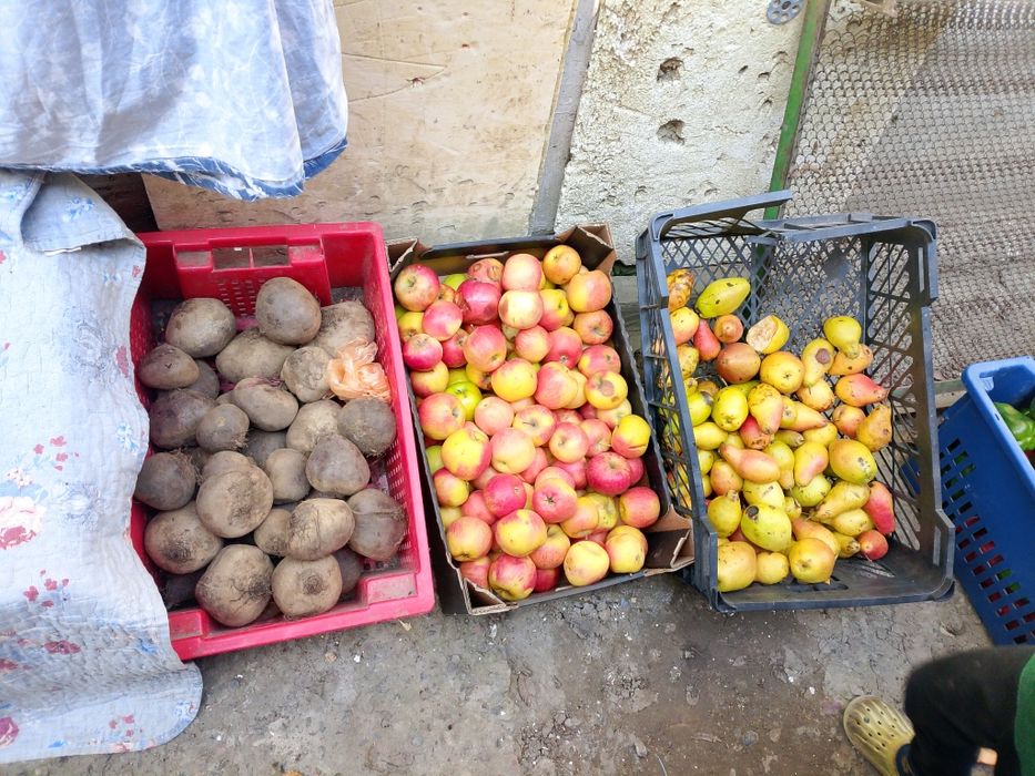 Продукты питания