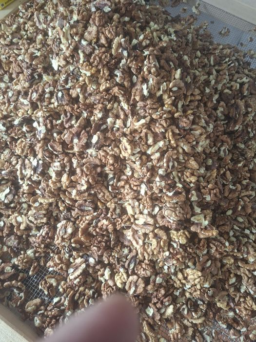 Vand 60 kg miez de nuca  curat fara impuritati9