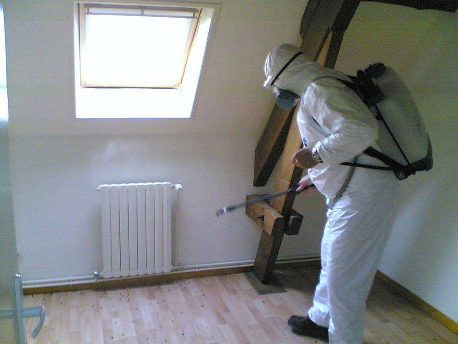 Dezinfeksiya klapa klop обработка тараканов, клопов, дезинфекция