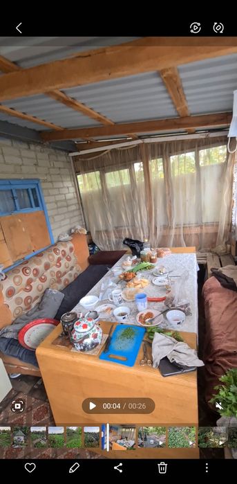 17 дачи, 3 общество