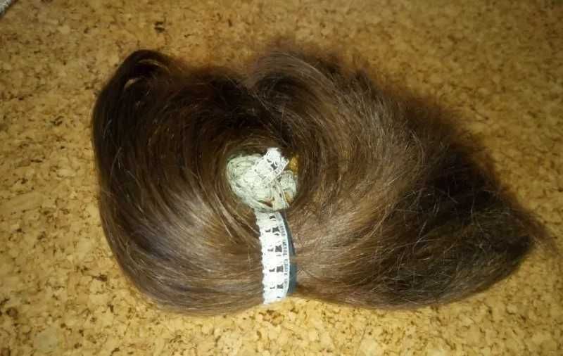 Естествена българска коса светлокестенява дължина 13 см