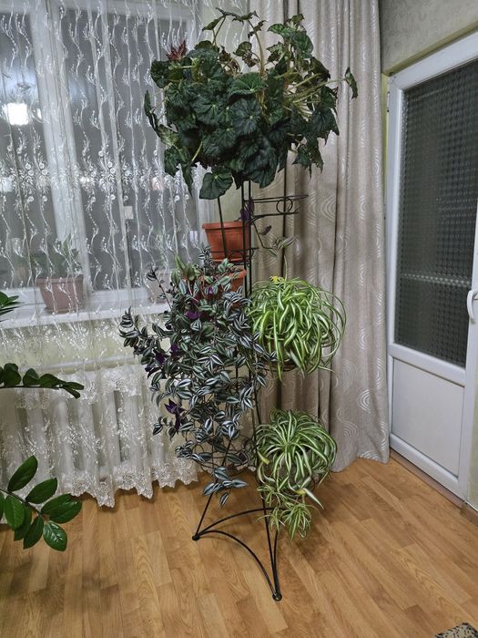 Продам стойку для цветов