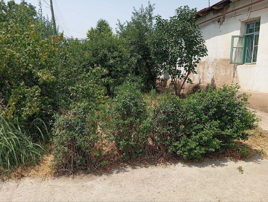 Продаётся участок, Янги Арғин махалласи