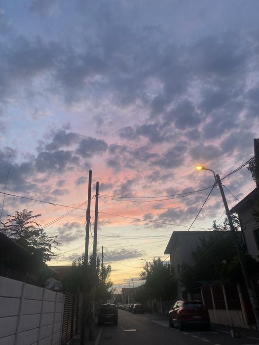 Plimb catel talie mica-medie