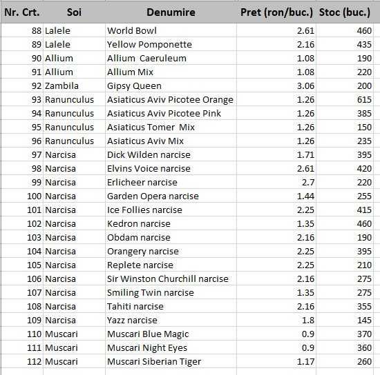 Bulbi de lalele, narcise. Lichidari de stoc. Preturi engros.