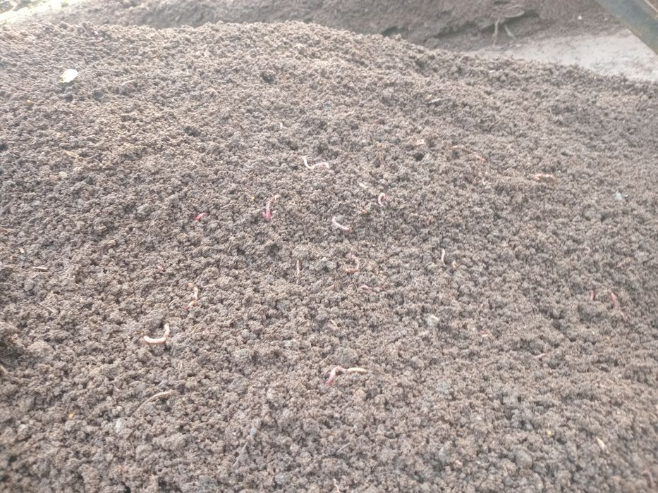 Biogumus sotaman sifati alo darajada