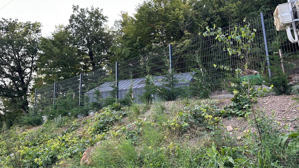 Panou Gard dublu fir Profesional 8/6/8mm Plasa Stalpi Gard nu Bordurat