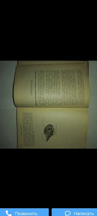 Антикварная книга