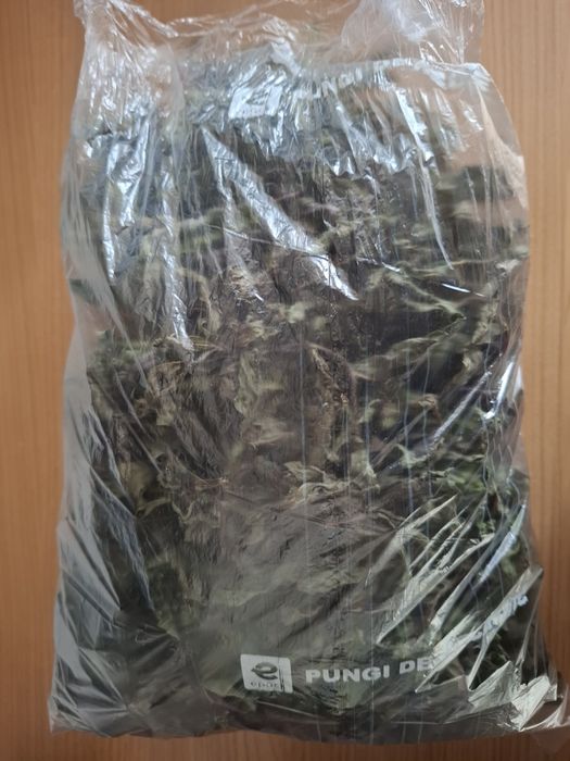 Vând mentã uscatã 50Ron/100g