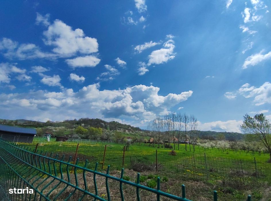 Casă cu teren generos la marginea Parcului Dendrologic