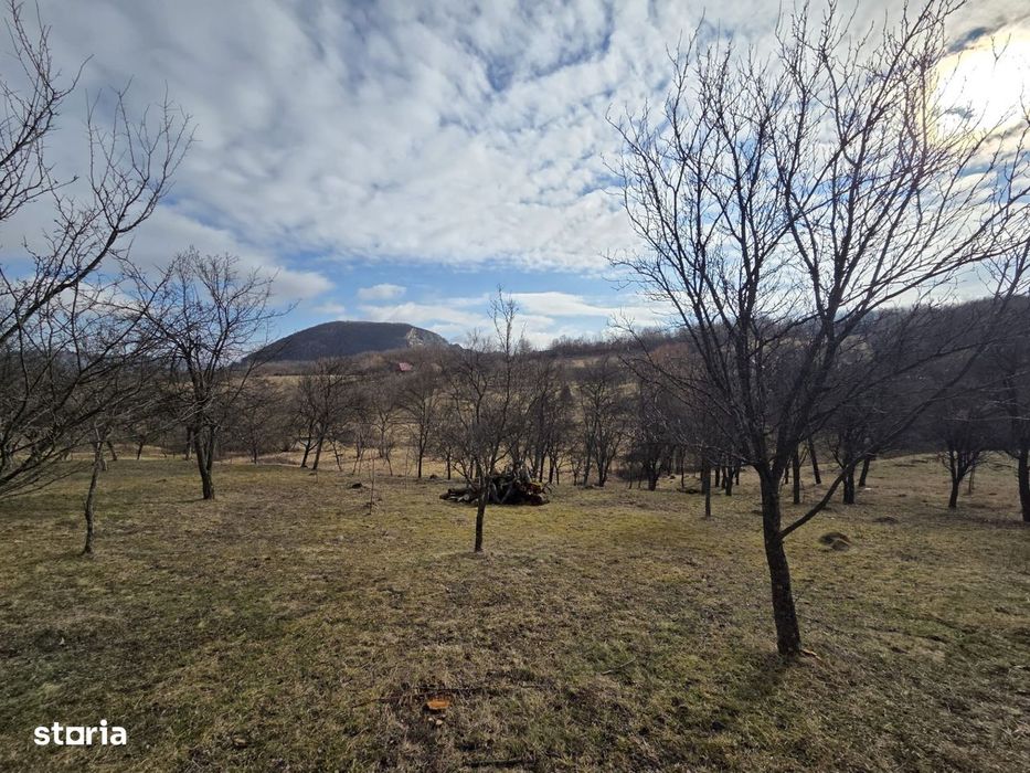 Teren intravilan, 3800 mp, ideal investitie - zona turistica , Moigrad