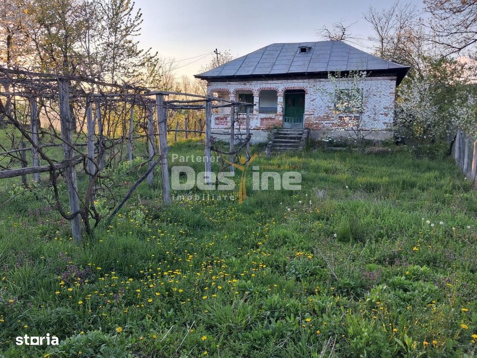 Casa batraneasca cu teren 1150 mp, vie si livada – Șerbanesti, Paus