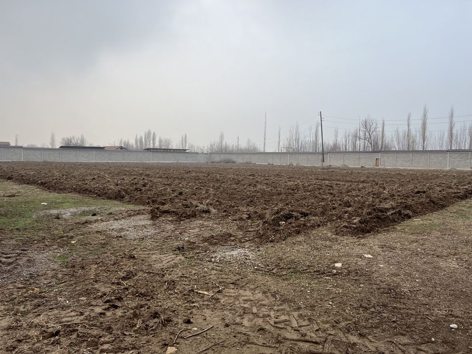 Продаеться земля недвижимость В Янгибазаре Юкори Чирчикском р-н.