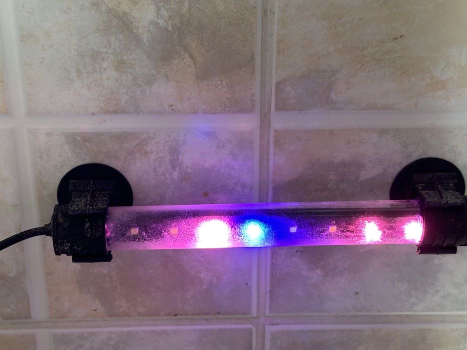 Аквариум для рыб