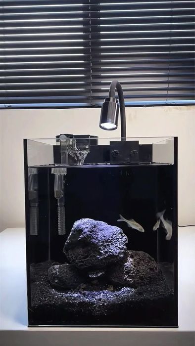 Магазин аквариумистики