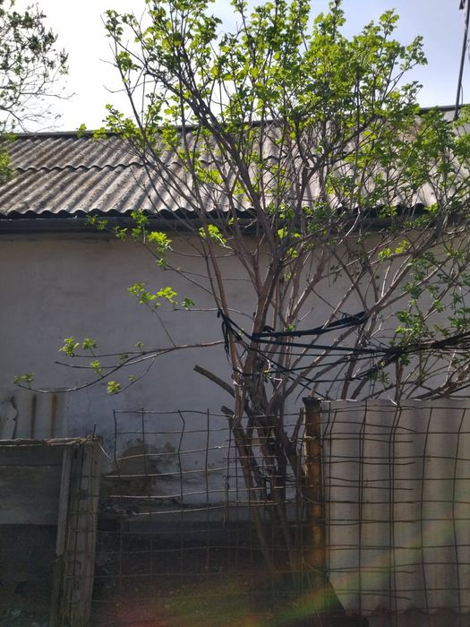 Продается дача, район аэропорта