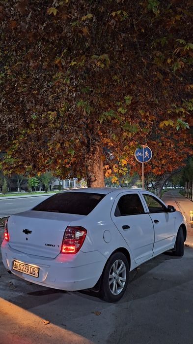 Saka diska 16 kaptiva dizayin