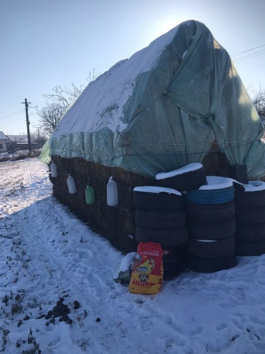 Vând baloți lucernă și fàn