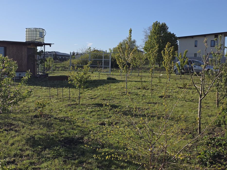 Peoprietar vând loc de casa /grădină Valea Lupului / Rediu