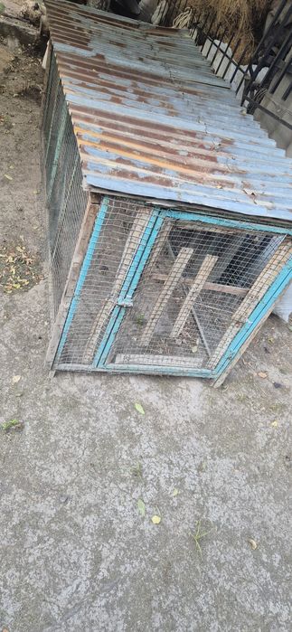 Katak sotiladi xolati alo arzong