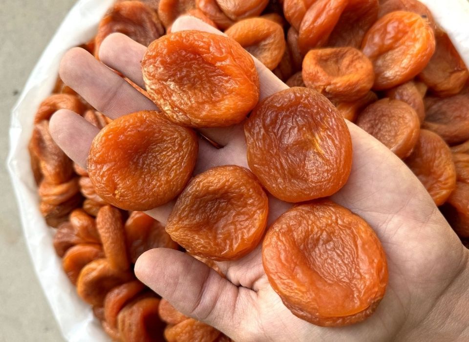 Курага turahak turshe o'rik абрикос урюк bargak