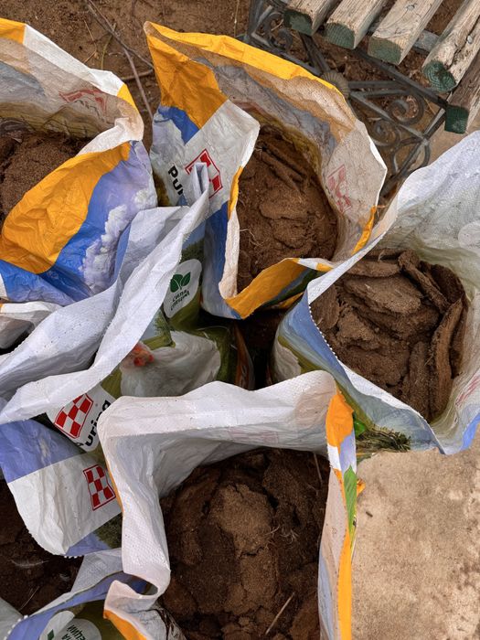 Лучшее удобрение для сада и огорода