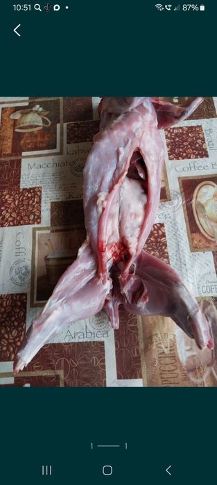 Продам мясо кролика