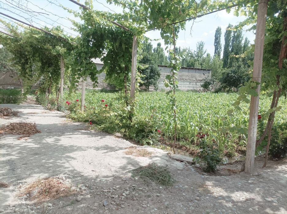 Ховли Уй жой сотилади.Хонкизда