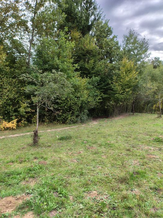 Casă cu teren 2 hectare intravilan