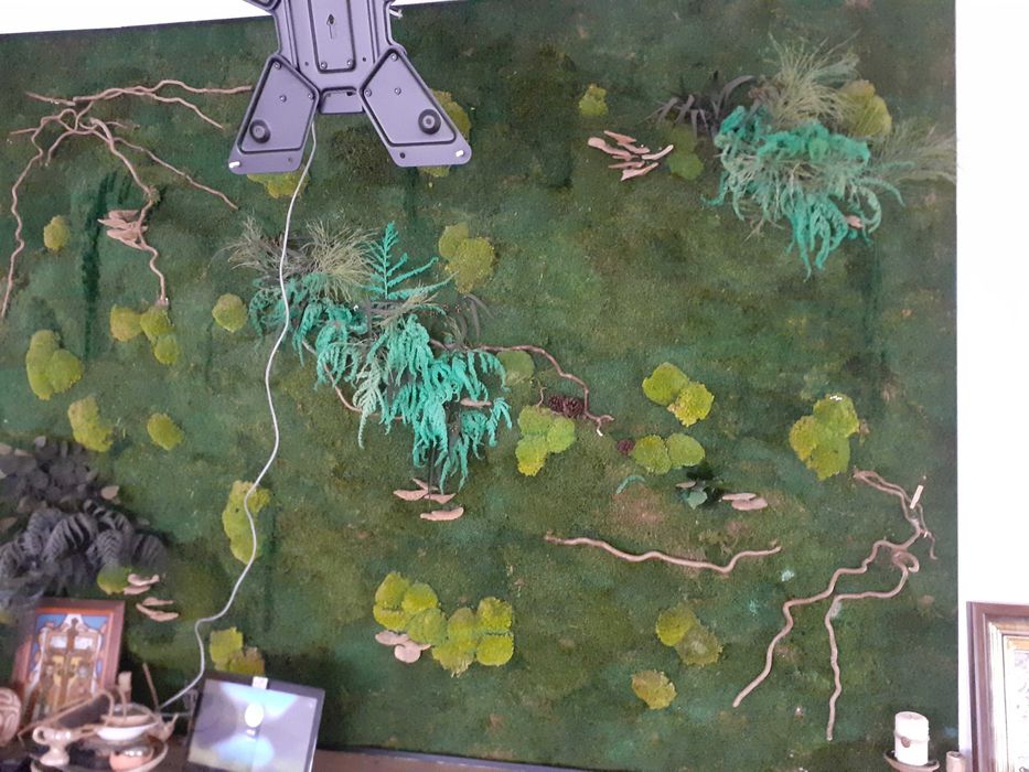 vand tablou de dimensiune mare cu muschi verzi si licheni