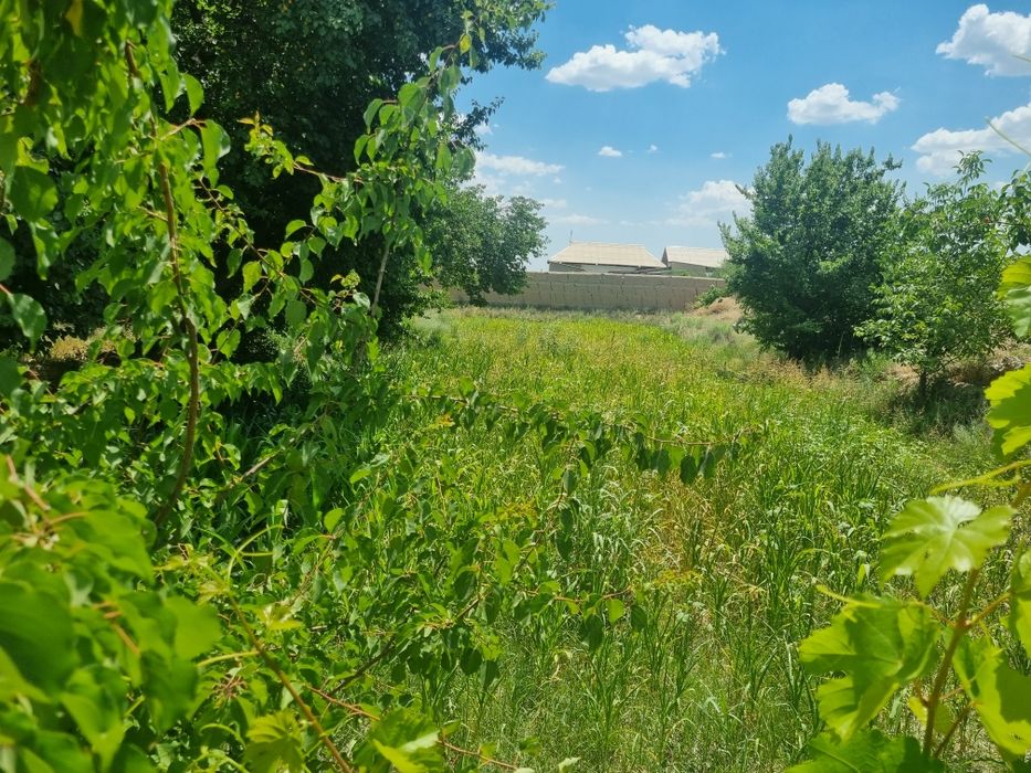 Bez posrednik. Maklersiz. Samarqand Paxtachi tumanida 14sotix uchastka