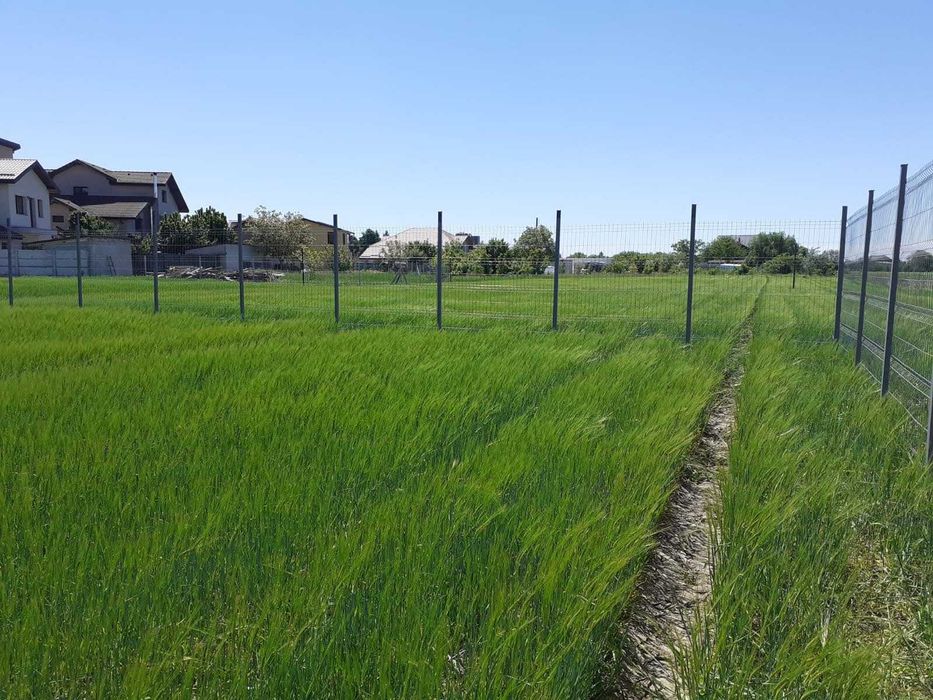 Vand teren in Cernica, Caldararu pentru casa sau parcelare