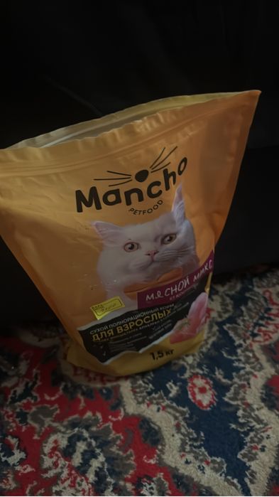 Пушистая Кошка продаю